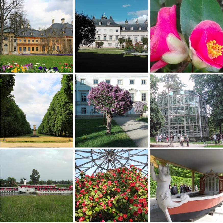 Schloss Pillnitz  © Heike Stier, Steffi Uhlig